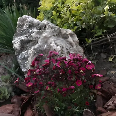 Ferienhaus Vitorlas 3 *