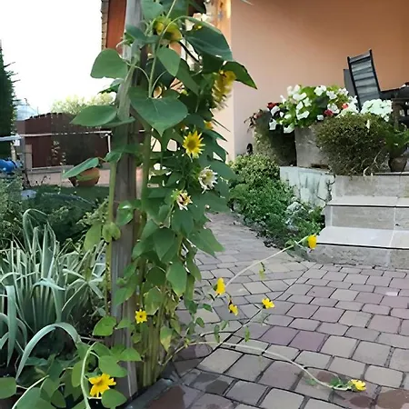 Ferienhaus Vitorlas 3 Balatonlelle