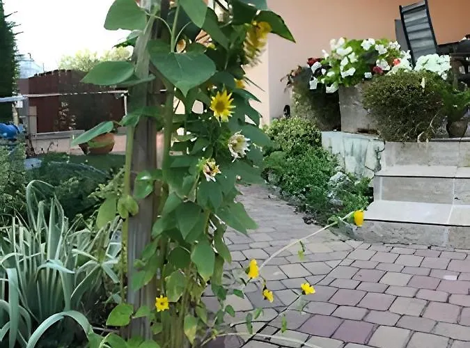 Tatil Evi Vitorlas 3 Balatonlelle