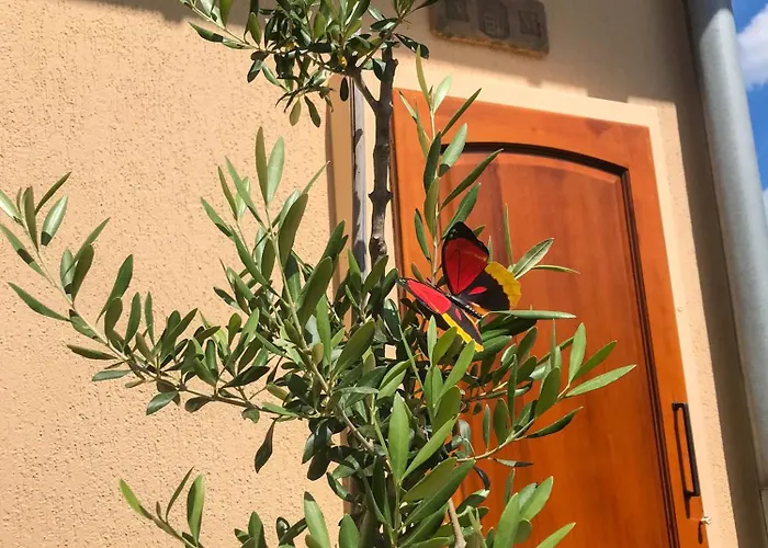 度假居 Vitorlas 3 *